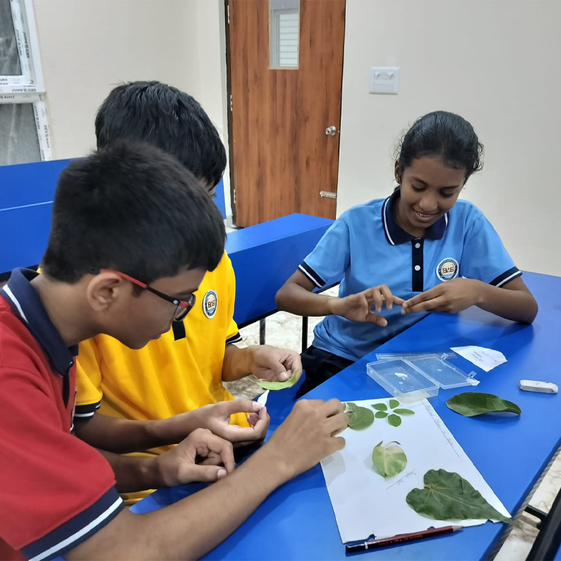 Experiential Learning at Broadvision World School Hennur