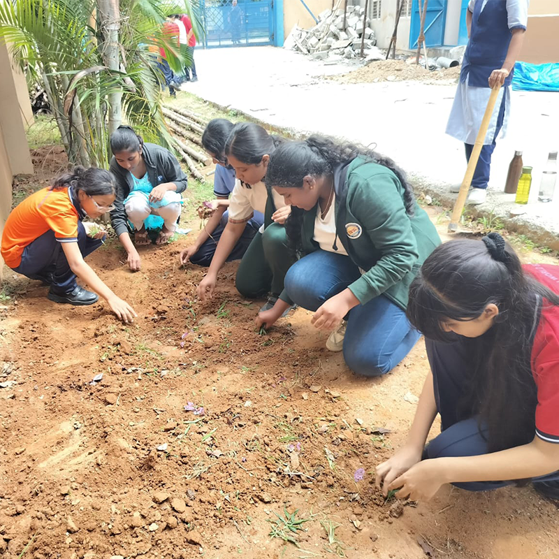 Life Skills Development at Broadvision World School Hennur
